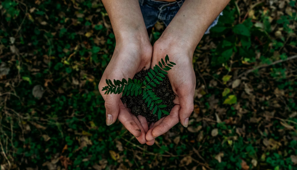 Sustainable eco-friendly materials